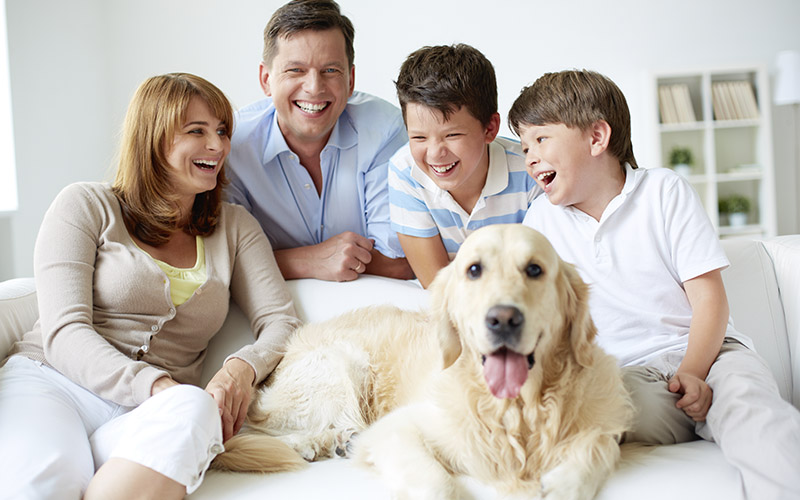happy family on couch with dog